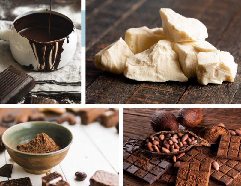 Cocoa Bean Processing Expeller Technology Cocoa Butter Cocoa Mass Cocoa Liquor Cocoa Powder