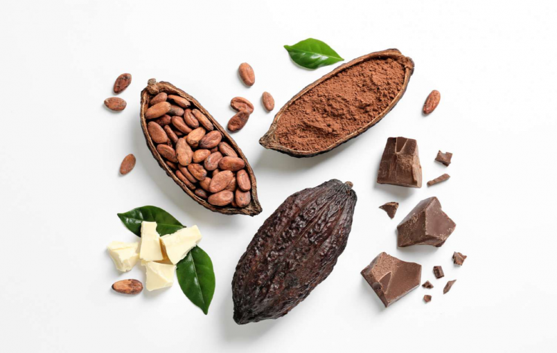 Cocoa Bean Processing Expeller Technology Cocoa Butter Cocoa Mass Cocoa Liquor Cocoa Powder